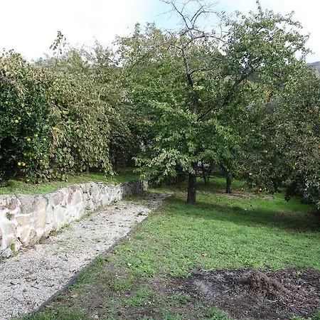 Casa Cardoso São Martinho de Mouros